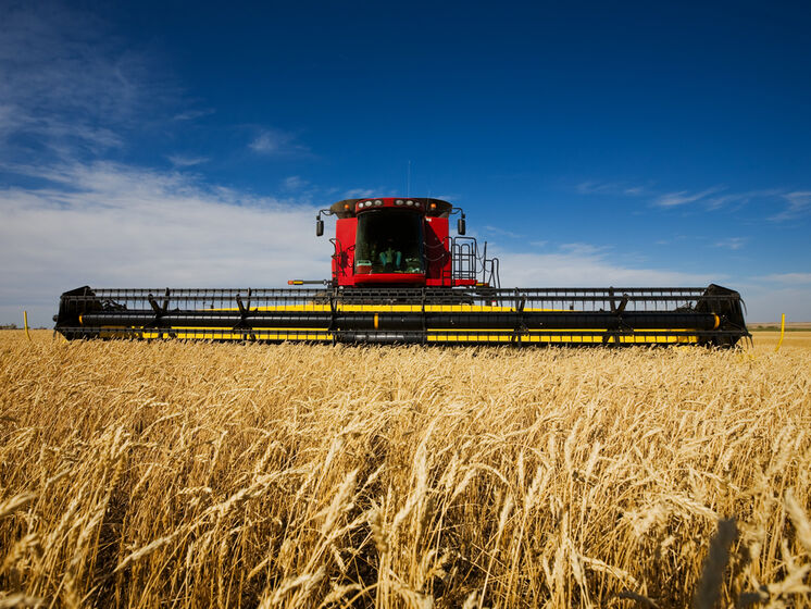 Урожай зерновых в Украине в 2022 году может сократиться на 20% в связи с полномасштабным вторжением РФ – британская разведка