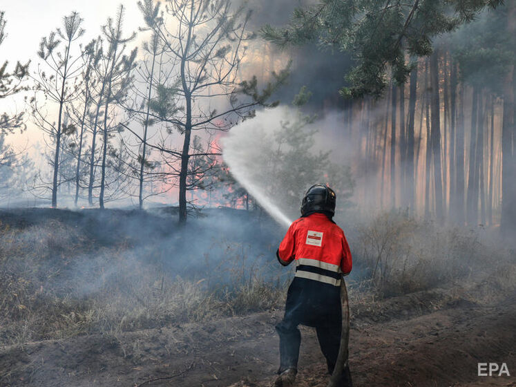 Оккупанты уничтожили более 17 тыс. га леса в Луганской области, сумма ущерба – более 38 млрд грн
