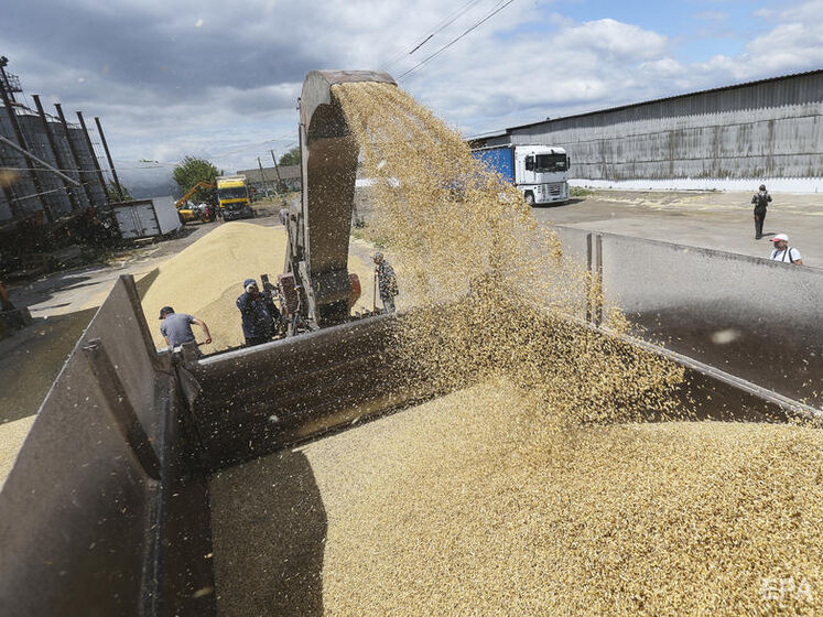 Експорт українського зерна виріс і надалі росте – Мінагрополітики