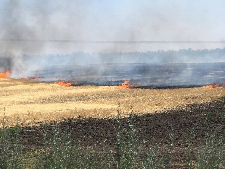 Через російські обстріли згоріло 20 га пшениці – голова Дніпропетровської облради