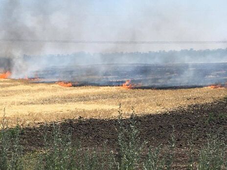Из-за российских обстрелов сгорело 20 га пшеницы – глава Днепропетровского облсовета