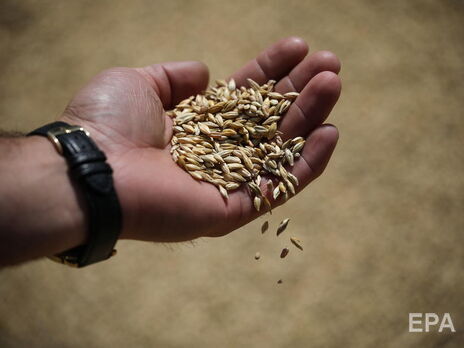 Експорт українського зерна через Дунай важливий, але цього недостатньо для запобігання глобальному голоду – ООН