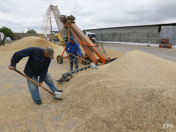 Окупанти в Запорізькій області встановили закупівельні ціни на зерно та намагаються його вивозити. Керує колишній нардеп Балицький – розвідка