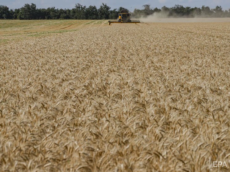 У Луганській області окупанти відібрали в українських аграрних компаній 70 тис. тонн зерна нового врожаю &ndash; ОВА
