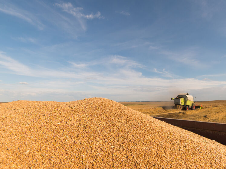 В України зараз є зерно для експорту на $10 млрд. До кінця року ця цифра може зрости ще на $20 млрд – Сольський