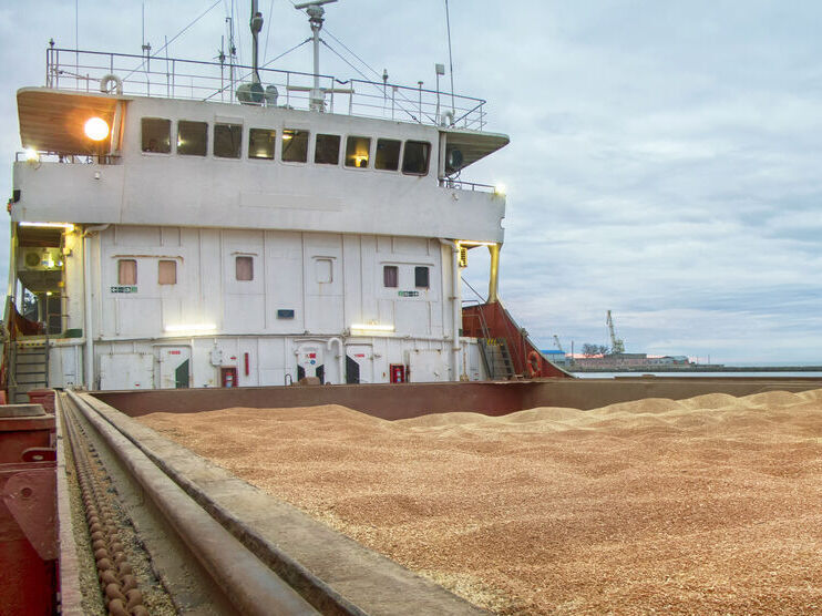 Первое судно с зерном может выйти из украинского порта 29 июля &ndash; ООН