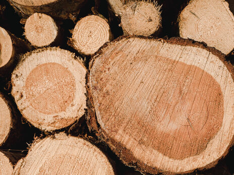 Угорський уряд купуватиме деревину для опалювального сезону