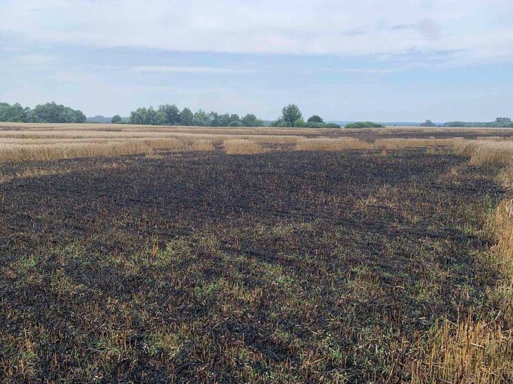 Через обстріл окупантами згоріло поле української пшениці – голова Сумської ОВА