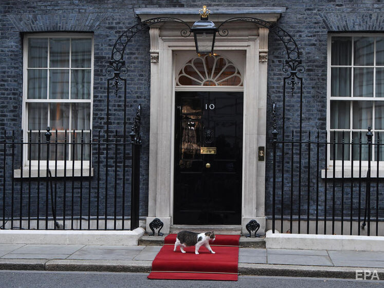 Вхід до резиденції британського прем'єра прикрасили синьо-жовтою аркою. На її тлі вже сфотографувався головний мишолов офісу – кіт Ларрі. Фото