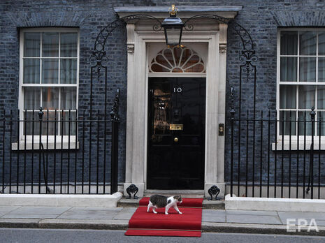 Вход в резиденцию британского премьера украсили сине-желтой аркой. На ее фоне уже сфотографировался главный мышелов офиса – кот Ларри. Фото