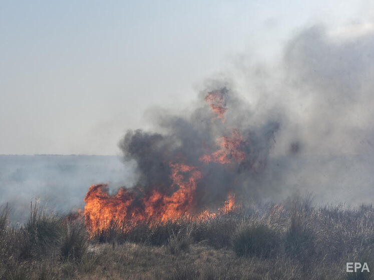 У Білорусі вирує величезна пожежа, вогонь може перекинутися на Чорнобильську зону – Стрілець