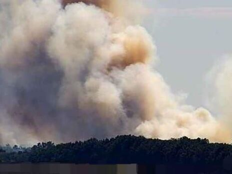 Лес горит с 11.00, сообщили в ОВА