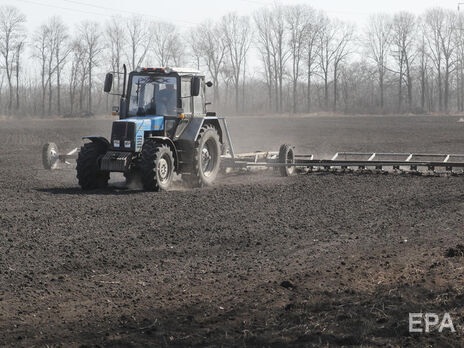 В Україні сіють озимі зернові