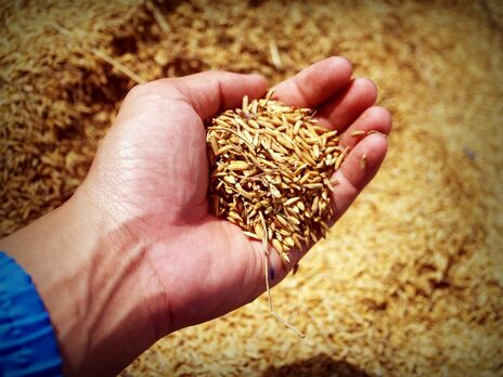 Україна продовжує експортувати зерно у межах "зернової угоди"