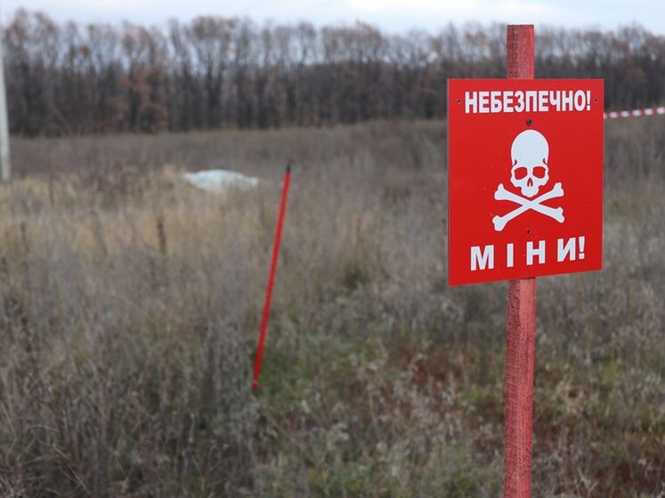 При разминировании в Херсонской области погиб украинский сапер, еще четверо получили ранения &ndash; Зеленский