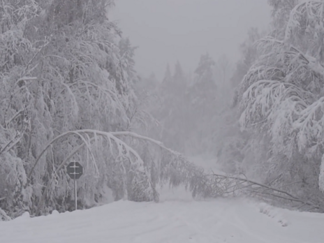 У Швеції через сильний снігопад скасовують потяги, автомобільний рух ускладнено
