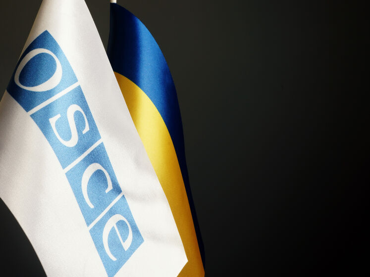 Украина объявила о бойкоте работы в Парламентской ассамблее ОБСЕ