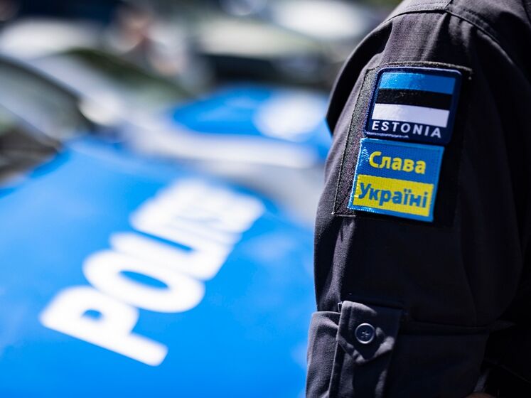 В Эстонии на границе с Россией начали работать украинские пограничники