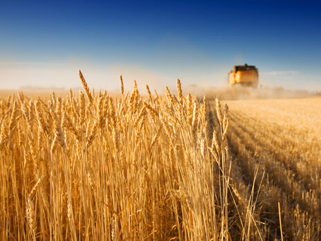 Инициативу Grain from Ukraine запустили 15 ноября