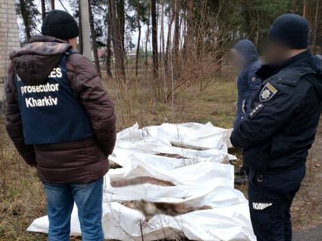 Правоохранители на кладбище в селе Слобожанское эксгумировали фрагменты тел пяти мирных жителей