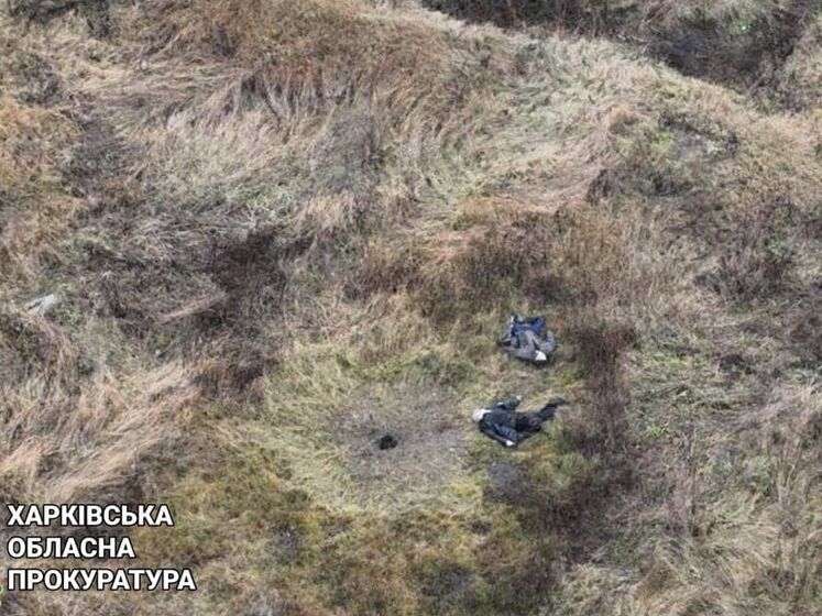 У Харківській області двоє чоловіків загинули, підірвавшись на міні – прокуратура