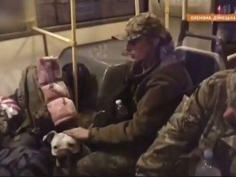 Украине удалось вернуть собаку, которую украли оккупанты