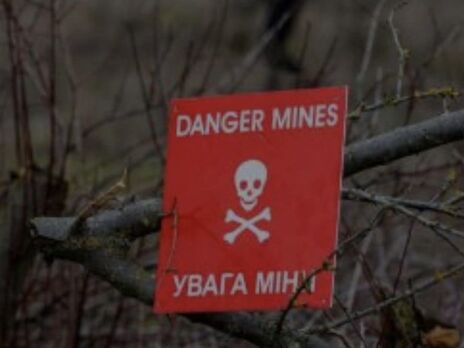 В ГСЧС из-за минной опасности призвали жителей Херсонской области пользоваться асфальтными и бетонными дорогами, не заходить в леса и лесополосы