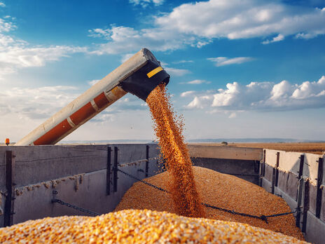 Из-за схемы по уклонению от уплаты налогов Украина понесла убытки на сотни миллионов гривен при экспорте зерна