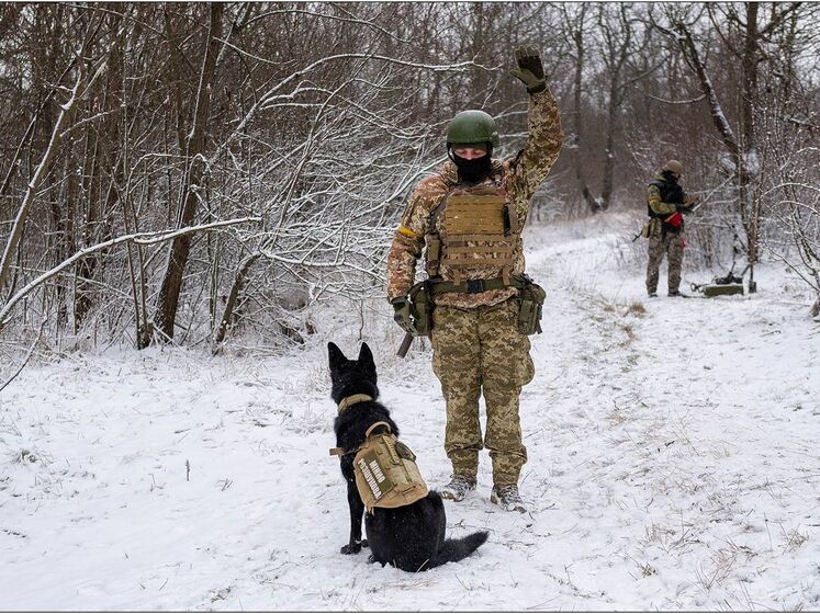 В Одесской области собака пограничников нашла снаряды времен Второй мировой войны