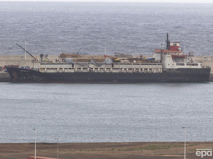 Испанская полиция объявила о перехвате судна с 4,5 тонны кокаина, который прикрывали живым скотом