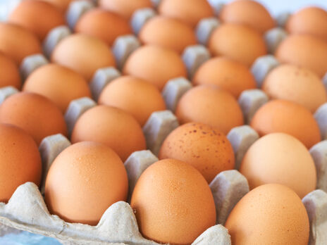 ДБР заявило про затримання п'ятьох осіб за постачання Міністерству оборони яєць по 17 грн і 