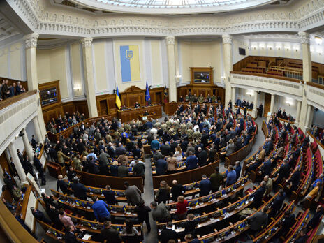 Проект постановления №9045 поддержали 325 народных депутатов, отметил нардеп Железняк