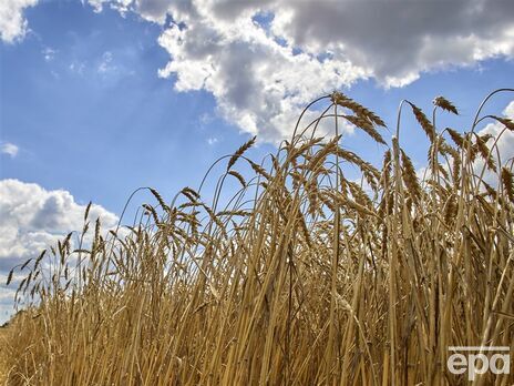 У Туреччині кажуть, що експорт зерна з України продовжать