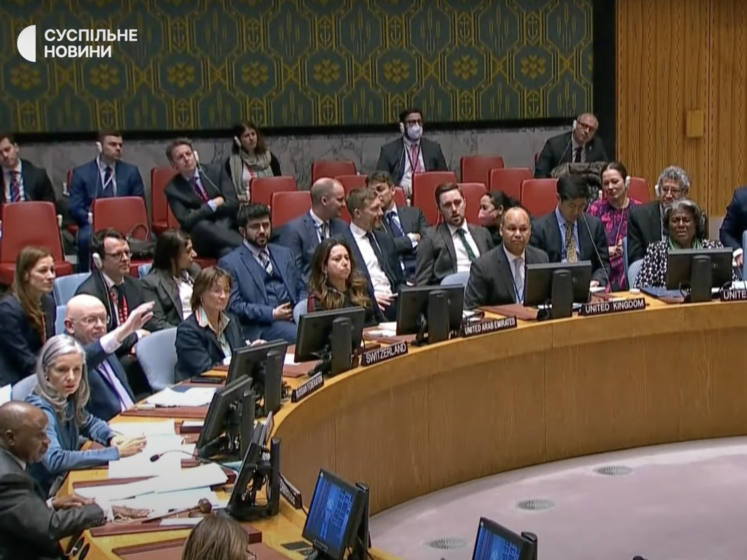 Росія спробувала запросити на засідання Радбезу ООН "омбудсменку ДНР" Морозову. Радбез відхилив пропозицію