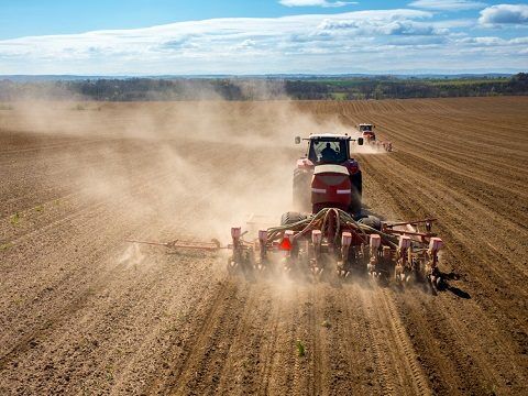 В 2023 году урожай зерновых в Украине будет меньше, чем в предыдущем году – прогноз Минагропрода