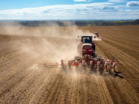 2023 року врожай зернових в Україні буде меншим, ніж торік – прогноз Мінагропроду