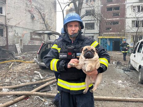 Рятувальники в Запоріжжі винесли зі зруйнованого російським ударом будинку собаку
