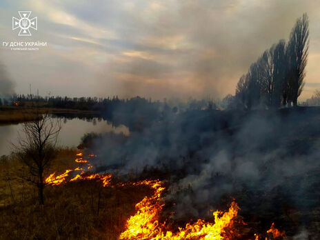 "Палії гірше за ворогів", заявили в управлінні ДСНС Київської області за підсумками вихідних, проведених на пожежах