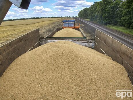 Венгрия усилит контроль над импортом украинского зерна из-за снижения цен