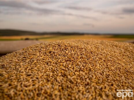 Румыния по примеру других стран хочет запретить импорт украинского зерна