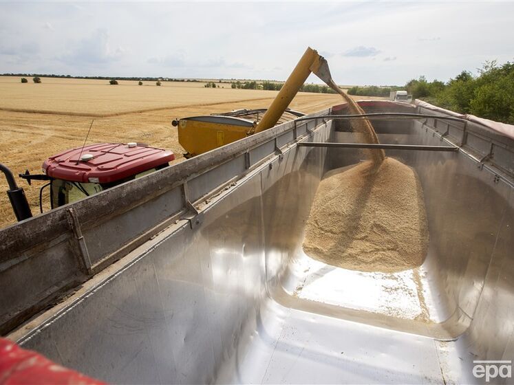 Евросоюз готовит экстренные ограничения на импорт зерна из Украины – СМИ