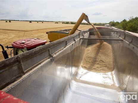 Евросоюз готовит экстренные ограничения на импорт зерна из Украины – СМИ