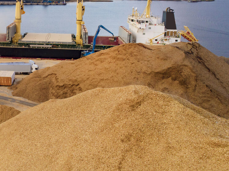 Окупанти намагаються вивезти з Бердянська викрадене зерно – Генштаб ЗСУ
