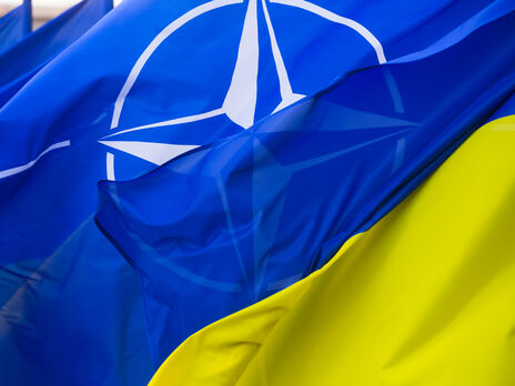Євродепутат пропонує надати Україні гарантії безпеки від членів НАТО до закінчення війни
