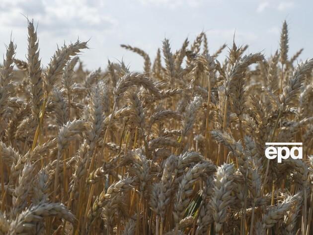 Зеленский: Скоро заработает зерновой коридор из Украины через Молдову и Румынию