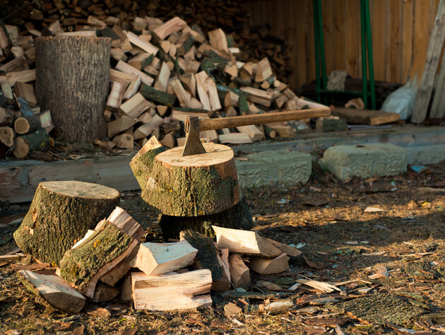 Кабмін України збільшив до 16,2 тис. грн граничний розмір субсидії на придбання дров для однієї сім'ї. Хто може розраховувати на її отримання?