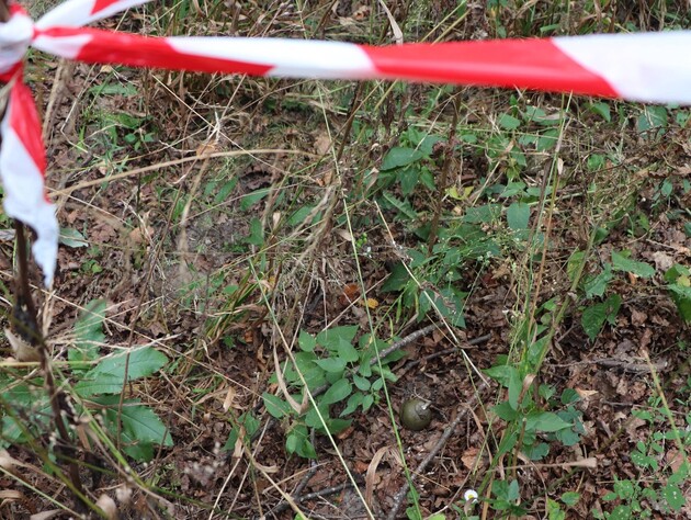 В Харьковской области подросток, гуляя в лесопосадке, нашел взрывное устройство, которое сдетонировало в его руках
