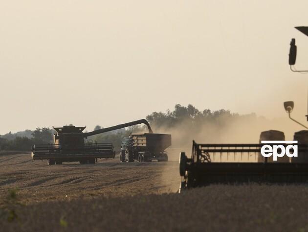 Украина не получает налогов с половины зерна, идущего на экспорт, оно 