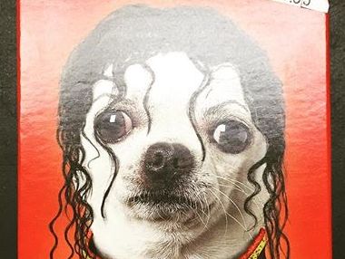 В США продают шоколад с изображением собаки в образе Майкла Джексона