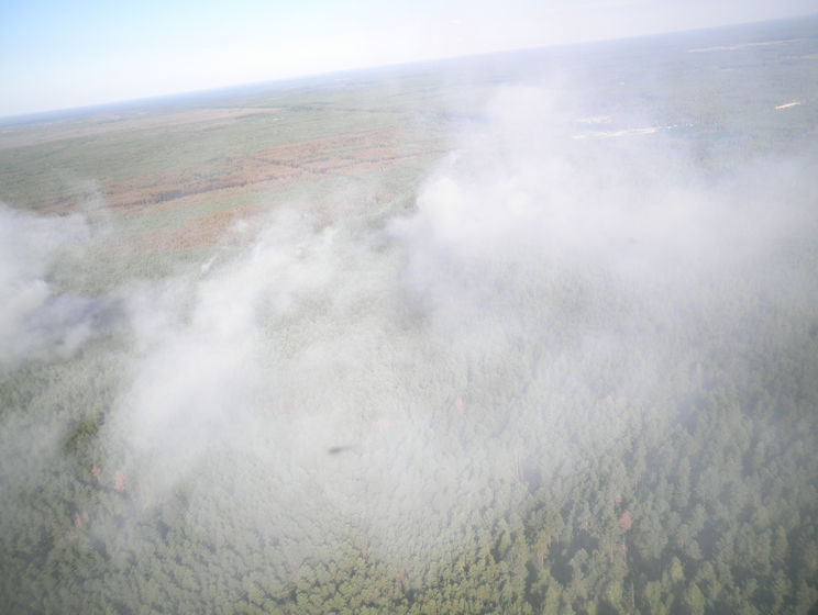 ГСЧС продолжает тушить пожар в Чернобыльской зоне, площадь возгорания сократилась до восьми гектаров. Видео
